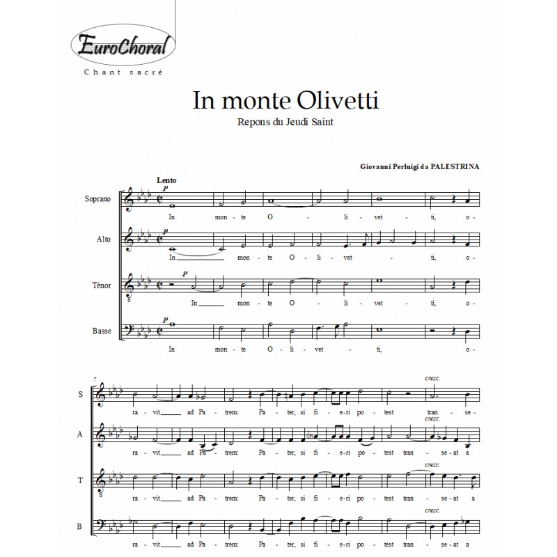 IN MONTE OLIVETTI (Palestrina)
