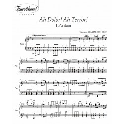 AH DOLOR! AH TERROR! (Bellini)