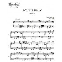 NORMA VIENE  (V.Bellini)