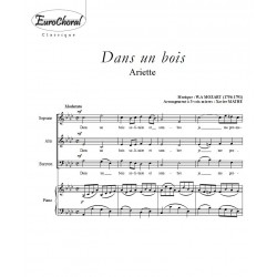 DANS UN BOIS (W.A Mozart)