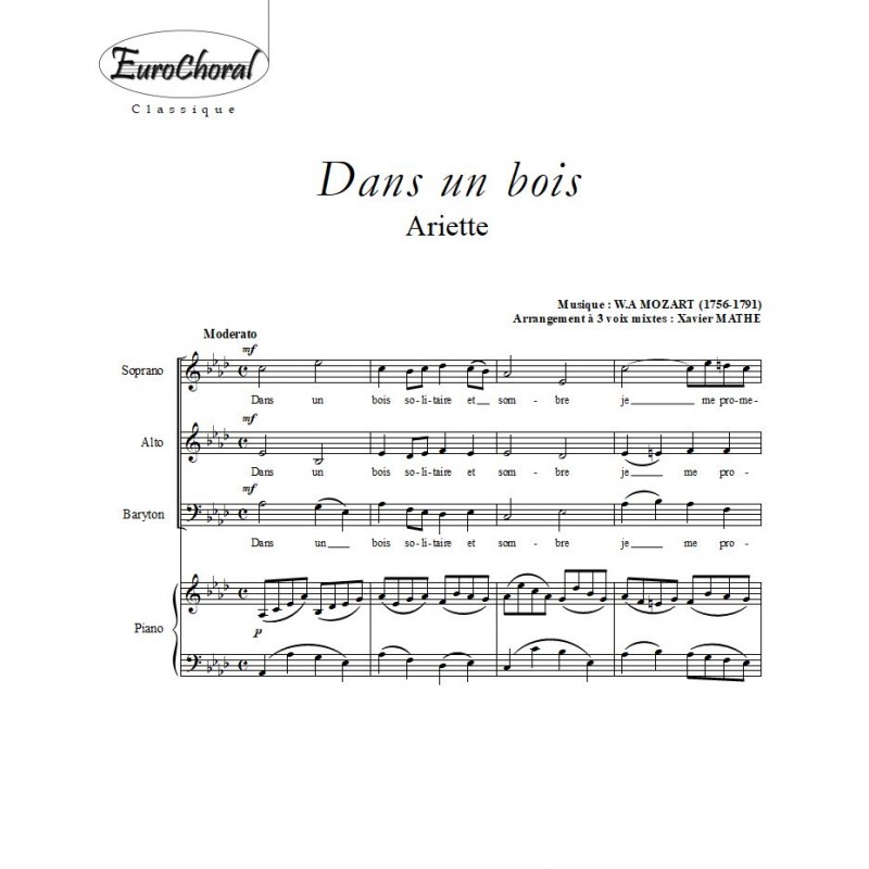 DANS UN BOIS (W.A Mozart)