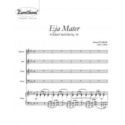 EJA MATER (Conducteur)