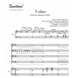 VOLARE (Conducteur)