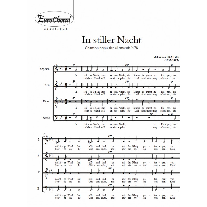 IN STILLER NACHT