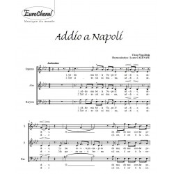 ADDIO A NAPOLI