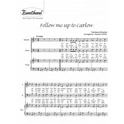 Follow me up to Carlow (Traditionnel Irlandais)