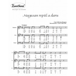 MAGASAN REPÜL A DARU