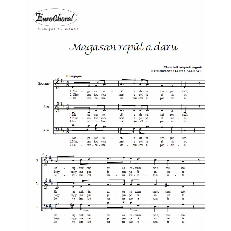 MAGASAN REPÜL A DARU