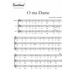 O MA DAME