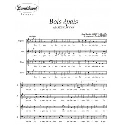 BOIS EPAIS (J.B Lully)