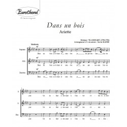 DANS UN BOIS (W.A Mozart)