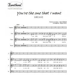YOU'RE THE ONE THAT I WANT