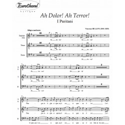 AH DOLOR! AH TERROR! (Bellini)