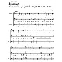 GREYNALO MI YASNO SLANTSE