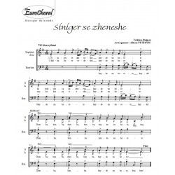 SINIGER SE ZHENESHE