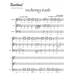 VECHERAY RADO