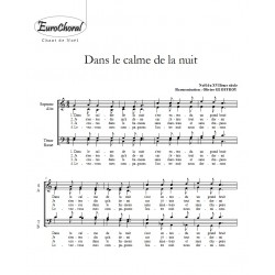 DANS LE CALME DE LA NUIT
