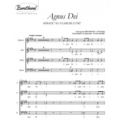 AGNUS DEI (Sonate AU CLAIR DE LUNE)